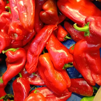 Beykoz Mopaş Halk Gününde Hayal Kırıklığı