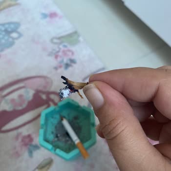 Winston Blue Ve Odun Parçası