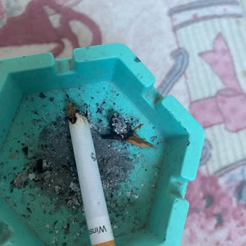 Winston Blue Ve Odun Parçası