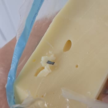 Sütaş Kaşar Peynirin İçinde Plastik Parça