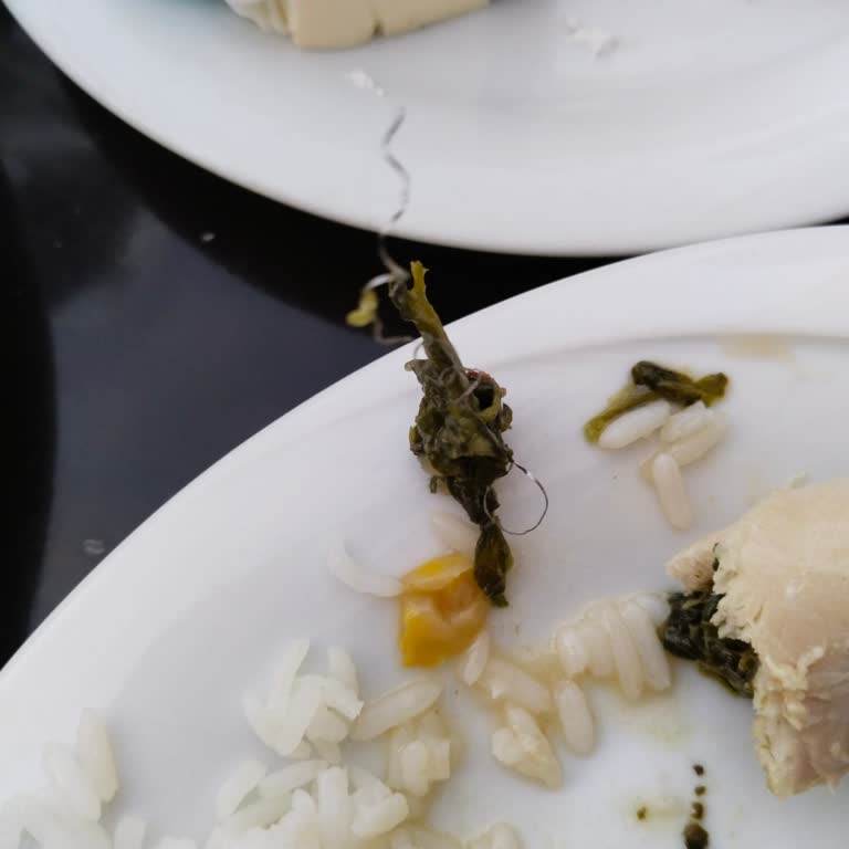 Vuni Palace Hotel Hayal Kırıklığı Ve Hijyen Sorunları İle Dolu Bir Tatil