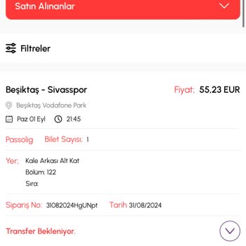 Biletalsat.com Maç Bileti Gelmedi
