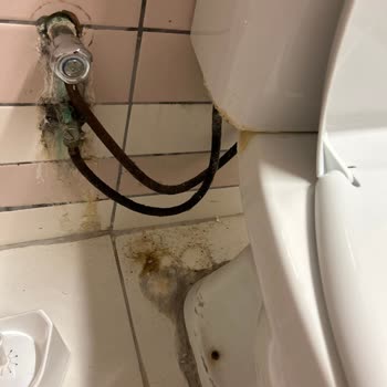 Osmangazi Üniversitesi Hastanesi Hastane Hijyen Sorunları Ve Yetersiz Bakım