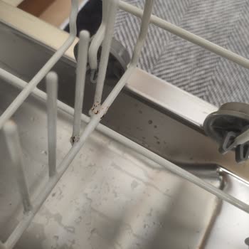 Arçelik Bulaşık Makinesi Sepetinde Paslanma ve Kırılma Sorunu