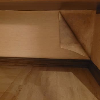 Noah's Ark Deluxe Hotel Her Şey Dahil Otel'in Problemleri