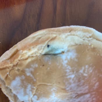 Burger King Küflü Ekmek Gönderdi
