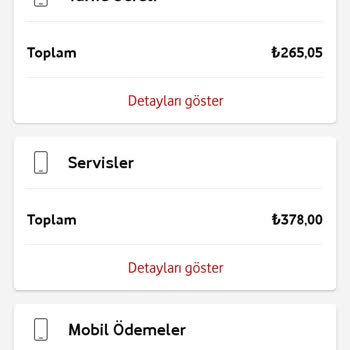 Vizyon Elektronik Para Ve Ödeme Hizmetleri