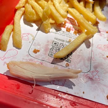 KFC 400 TL Menü Yapmış Biz Aldık Kuşlara Kedilere Verdik Beğendiler.