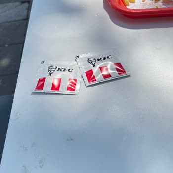KFC 400 TL Menü Yapmış Biz Aldık Kuşlara Kedilere Verdik Beğendiler.