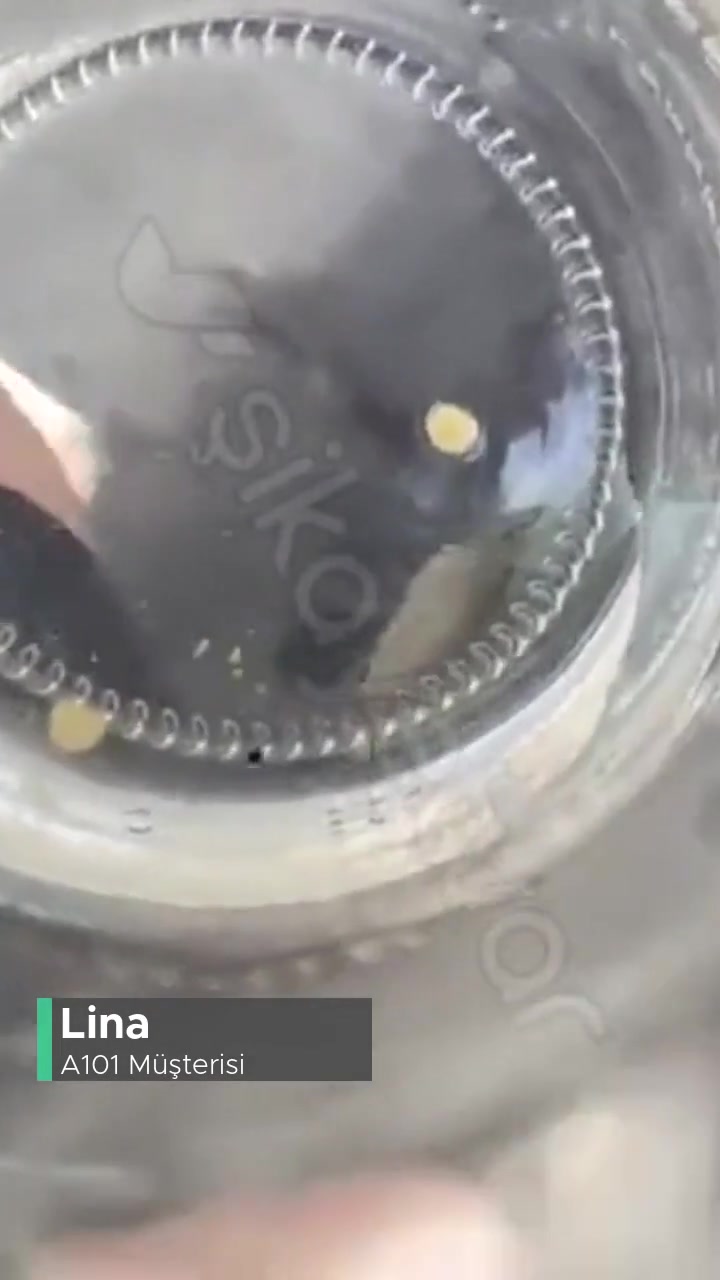 A101 Galle Salatalık Turşusundan Böcek Çıktı! videonun kapak resmi