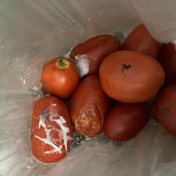 Migros Hemen Çürük, Kalitesiz Ürün Geldi, İademi Talep Ediyorum.