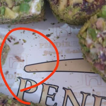 Pendirhan Yöresel Ürünler Pendirhan Bol Proteinli Lokum Ve Yöresel Ürünler