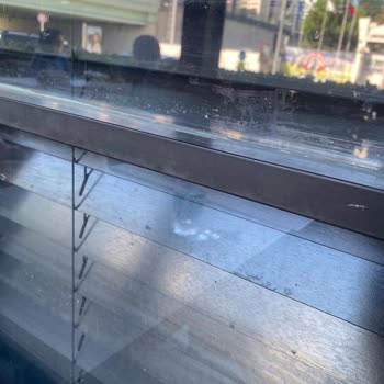 Veliefendi Kahve Dünyası'nda Hijyen Sorunu Ve Sinek Problemi