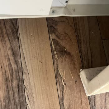 Batu Konteyner Lüleburgaz Paramızla Mağduriyet Yaşama