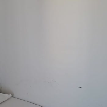 Palmira Hotel Kuşadası Hijyen Sorunları Ve İlgisiz Yönetim Nedeniyle Otelden Çıkış Talebi