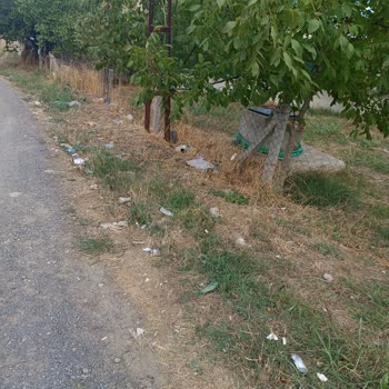 Marmaraereğlisi Belediyesi Yeniçiftlik Çöp İçinde