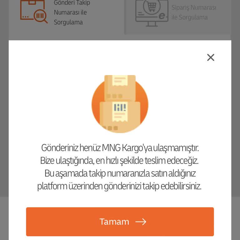 Temu Dan Sipariş Ettiği Ürünlerim 1.5 Aydır Hala Elime Ulaşmadı