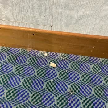 Gezinomi (İstya Tur) Motto İtalya Turu Fiyasko!