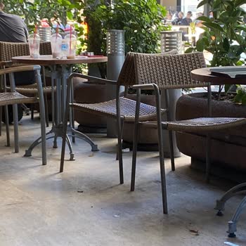 Çöplük Dünyası Mı Kahve Dünyası Mı Belli Değil