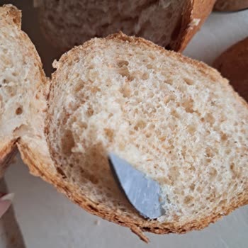 Ankara Halk Ekmek Halk Ekmek İçinden Plastik Çıktı