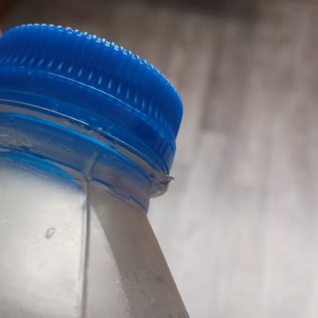 Erimez Kardağ 0.5 L Pet Şişenin El Çizip Kanatan Çapakları