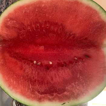 A101 Kabak Değil Ama Çürük