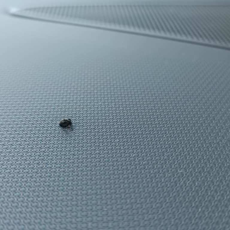 Opel Erdemirler Yetkili Servisi