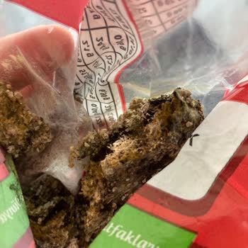 Başhan Bulgurun İçinden Küflü Bir Cisim Çıktı