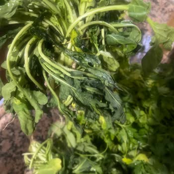 Şok Market Eksik Ve Özensiz Sipariş