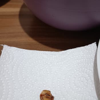 Aro Çiğköfte'de Fındık Çapında Ceviz Kabuğu!