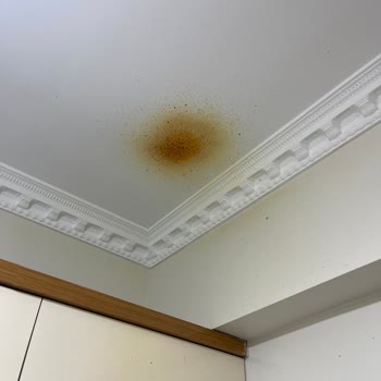 Korkmaz Mutfak Eşyaları Korkmaz Düdüklü Tencere Patlama Sorunu