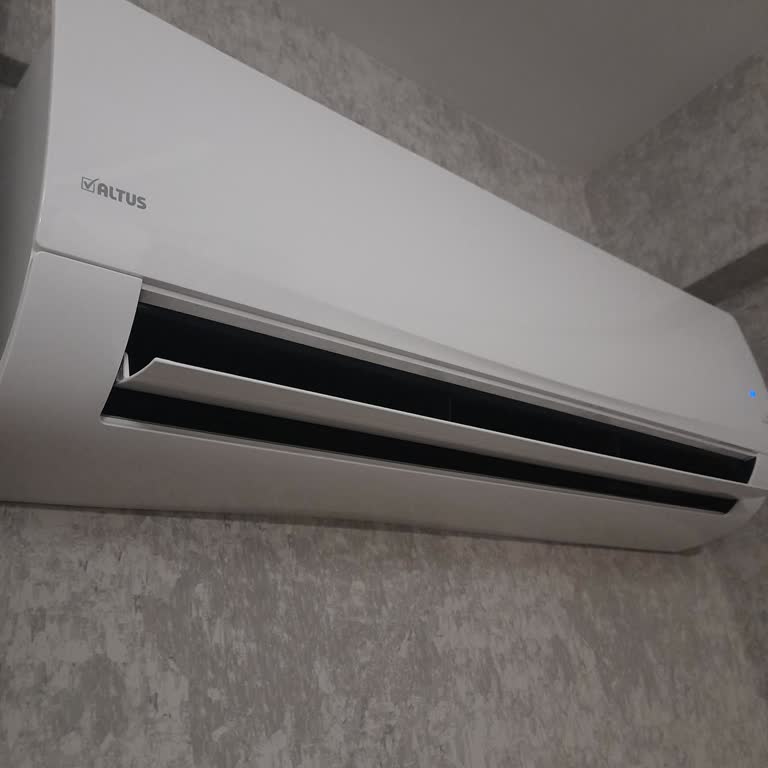 Altus Sinirimizi Altüst Etti.