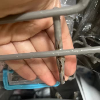 Teka Bulaşık Makinesi Sepet Paslanması