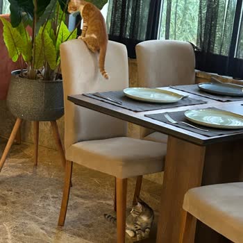 Toros Deluxe Resort Çok Kötü!