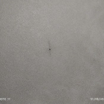 Öğretmenler Mobilya Pişmanlığı\ Koltukta Delinmeler