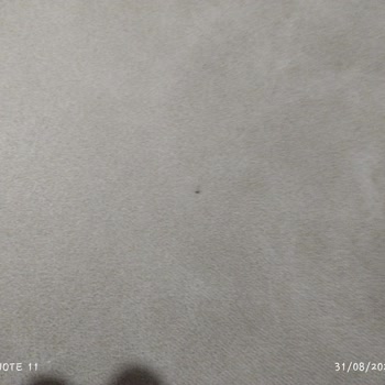 Öğretmenler Mobilya Pişmanlığı\ Koltukta Delinmeler