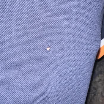 Lufian Müşterileri Mağdur Ediyor