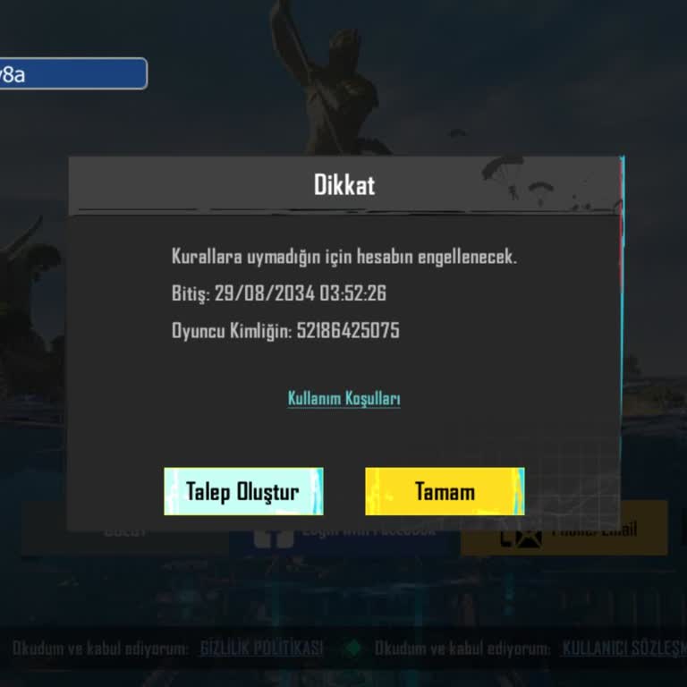 Mmogames. Market Sitesinde Hile Satın Alma Ve Ban Sorunu