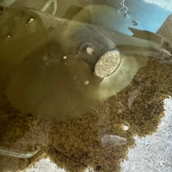 CFMOTO Cf Motor 450 Sr Yağ Soğutucu Patlaması Ücret Talep Edilmesi