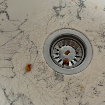 Mouna Sapanca Yüzünden Tatilimiz Çöp Oldu