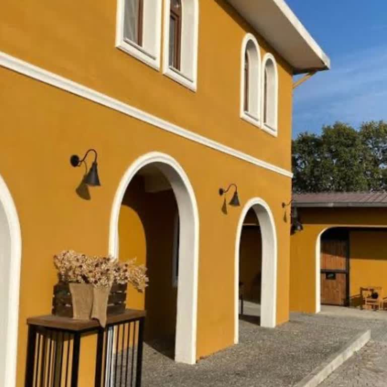 Balat Binicilik Kulubü Ata Eziyet Edildi!