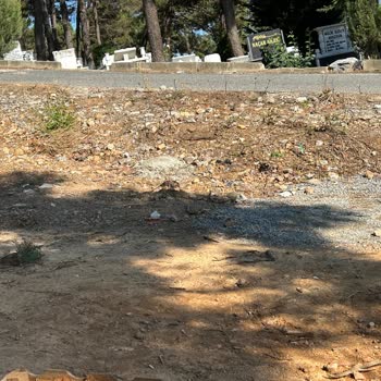 İstanbul Büyükşehir Belediyesi Ihlamurkuyu Mezarlığı C Kapısı Temizlik Gerekli