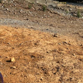İstanbul Büyükşehir Belediyesi Ihlamurkuyu Mezarlığı C Kapısı Temizlik Gerekli