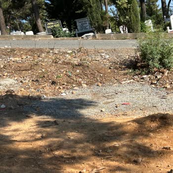 İstanbul Büyükşehir Belediyesi Ihlamurkuyu Mezarlığı C Kapısı Temizlik Gerekli