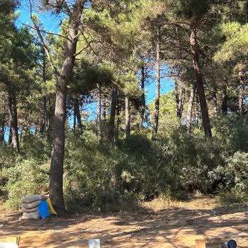 İstanbul Büyükşehir Belediyesi Ihlamurkuyu Mezarlığı C Kapısı Temizlik Gerekli