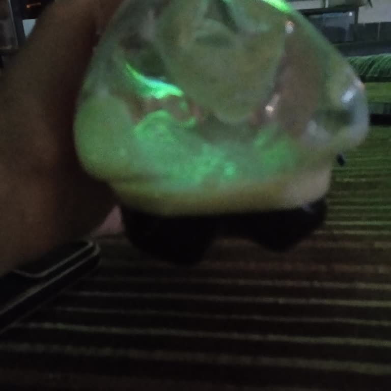 Meysu Kola Koku Ve Tat Sorunu