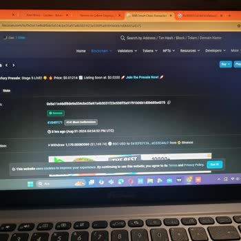 BscScan Yanlış Hesaba Transfer