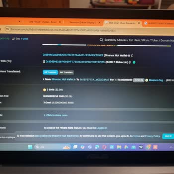 BscScan Yanlış Hesaba Transfer