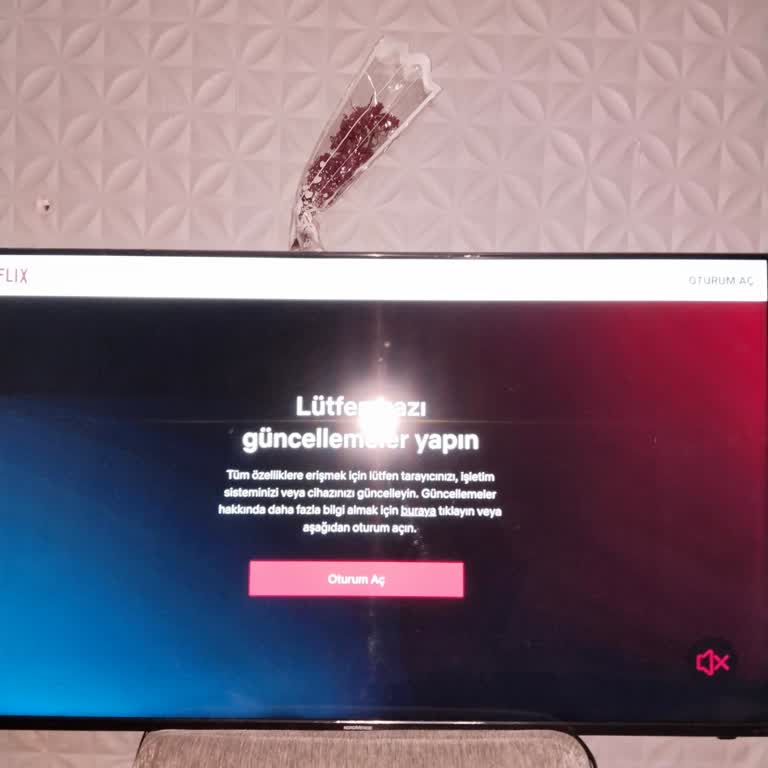 Netflix Ve Google Play Store Erişim Sorunu