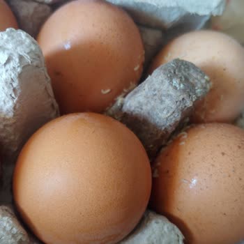 Migros Hemen Kurtlu Yumurta!